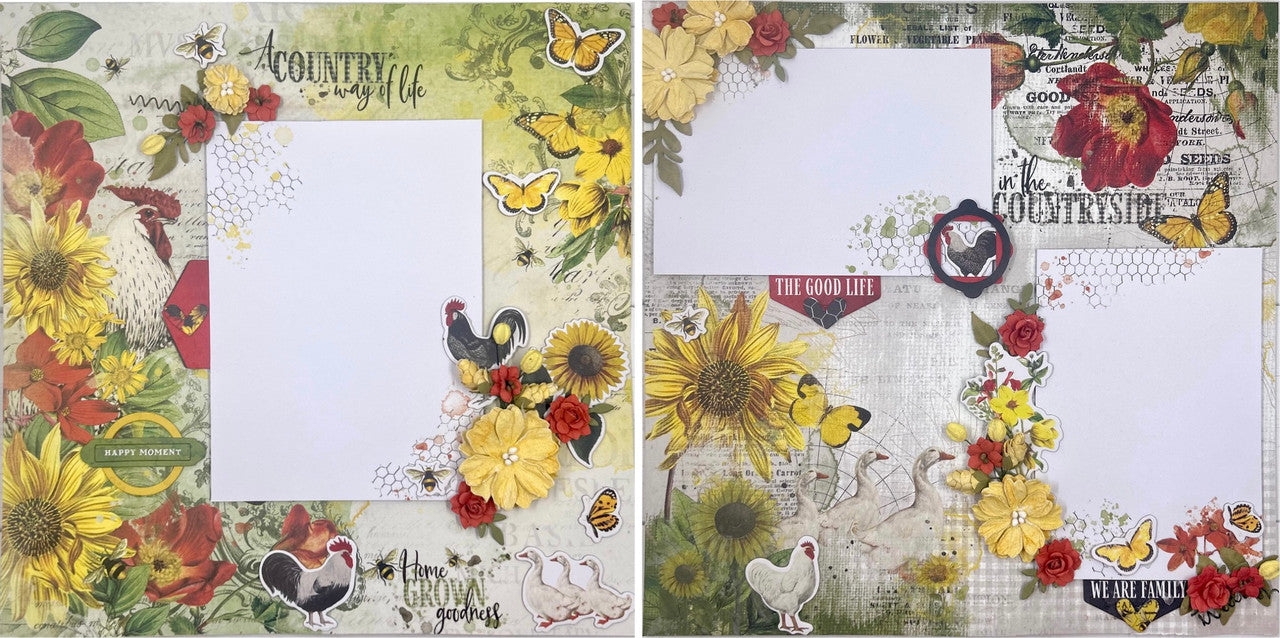 Diseño de 2 páginas de campo